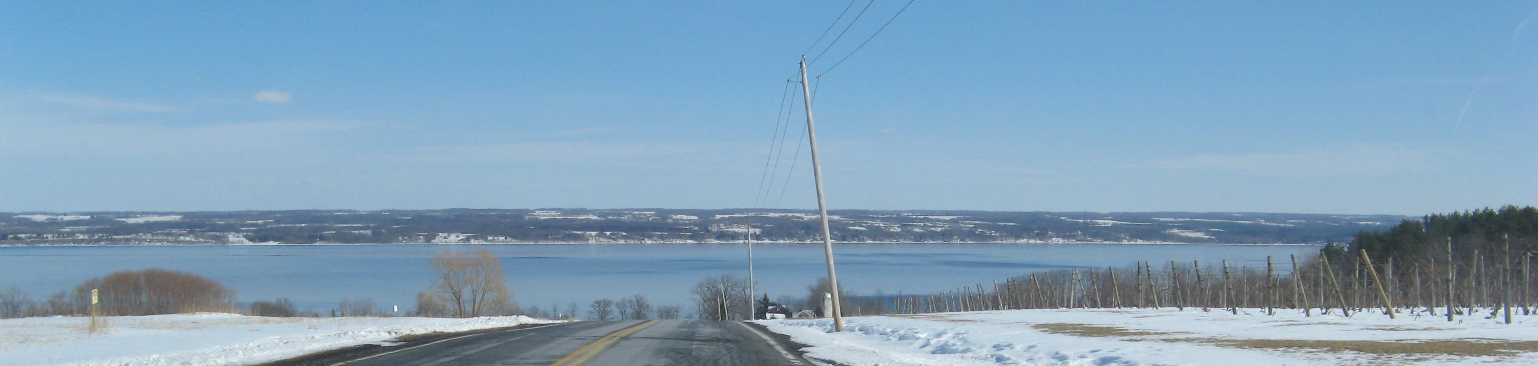 The Blue Cayuga